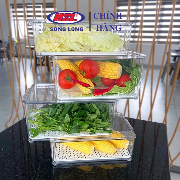 Hộp bảo quản thực phẩm, hộp đựng thực phẩm nhựa Song Long 3061, 3062, 3064, 3065