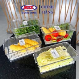 Hộp bảo quản thực phẩm, hộp đựng thực phẩm nhựa Song Long 3061, 3062, 3064, 3065 3