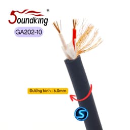 Dây tín hiệu Âm Thanh Audio, Micro SOUNDKING GA202. 1