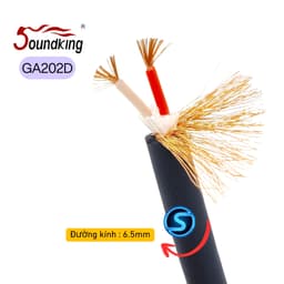Dây tín hiệu Âm Thanh Audio, Micro SOUNDKING GA202D 1