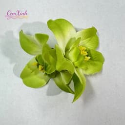 Kẹp Tóc Hoa Đi Biển Hoa Cài Tóc Nữ Phong Cách Hawaii Chụp Ảnh Du Lịch Phụ Kiện Tóc Xinh 6