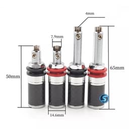( 1 Cặp ) Cọc loa, cầu loa LITON mạ Rodium Đồng 1