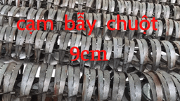 Bẫy chuột thông minh dính chuột 100% độ rộng 9cm 3