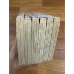 Bộ vở Hoa hồng tóc ngắn 3