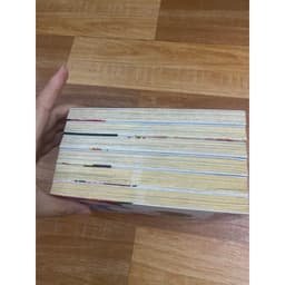 Bộ vở Hoa hồng tóc ngắn 4
