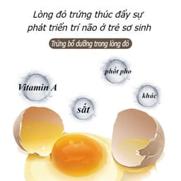 Máy Khuấy Trứng Tay, Kết Hợp Lòng Đỏ & Trắng Mà Không Vỡ Vỏ 5