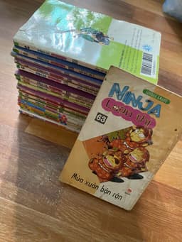 Bộ vở Ninja loạn thị 1