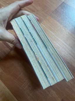 Bộ vở Hoa hồng tóc ngắn 7