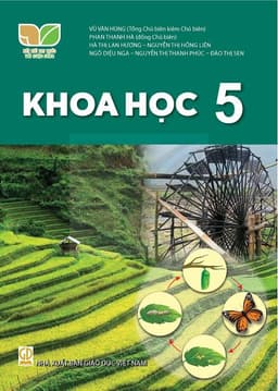 Vở tin học, toán, đạo đức KHTN ..  lớp 4,5 kết nối tri thức 2