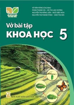 Vở tin học, toán, đạo đức KHTN ..  lớp 4,5 kết nối tri thức 5