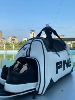 ping golf clothes bag 10